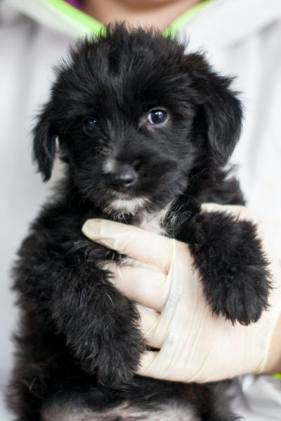 Anthony wird von einer Pflegerin hochgehoben und schaut traurig in die Kamera.