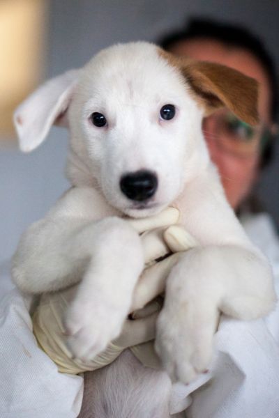 Jon wird von einer Pflegerin hochgehoben und blickt direkt in die Kamera.