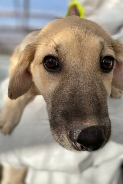 Yukari schaut über die Schulter