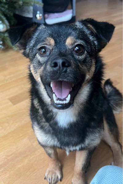 Iva schaut neugierig in die Kamera.