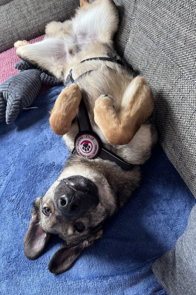 Aang genießt die Zeit auf dem Sofa.