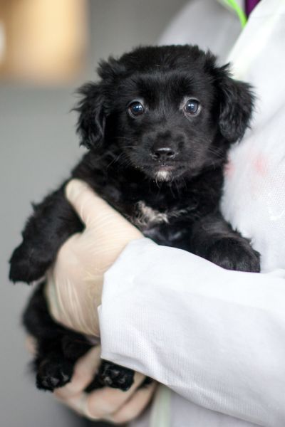 Eloise wird auf dem Arm gehalten.