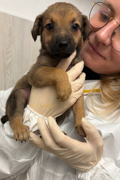 Tyrion wird auf dem Arm gehalten.