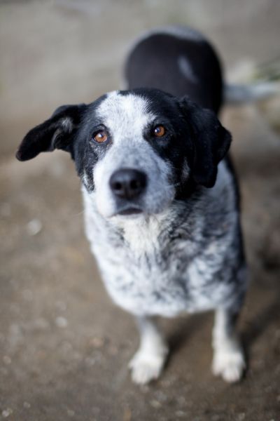 Ornilo steht und schaut nach oben.
