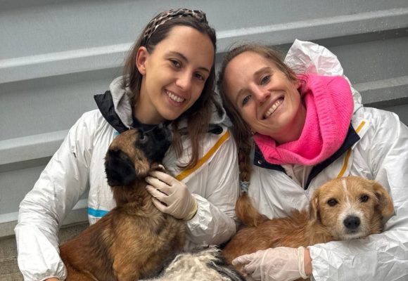 Zwei Frauen kuscheln mit Hunden nach der Rettung aus der Tötungsstation