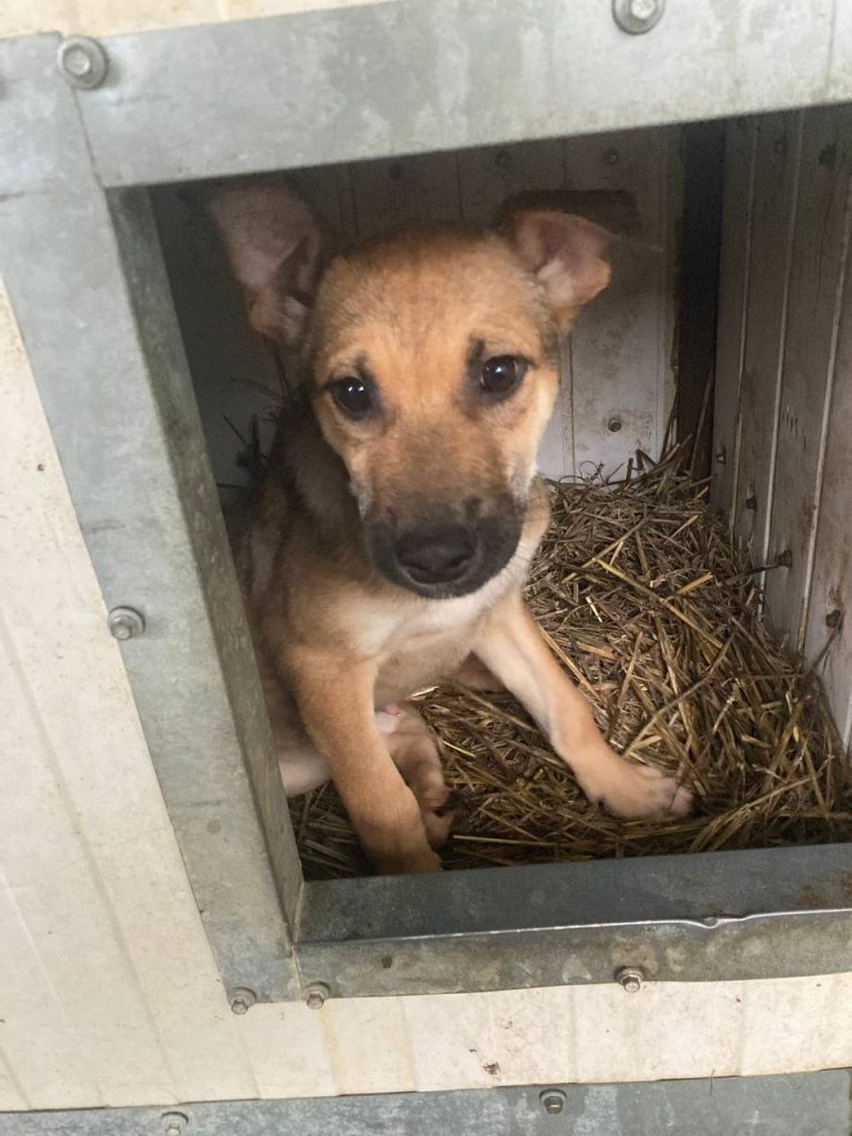 Zuko schaut freundlich in die Kamera.