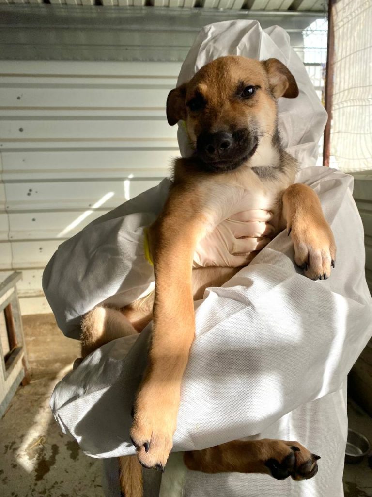 Zuko schaut freundlich in die Kamera.