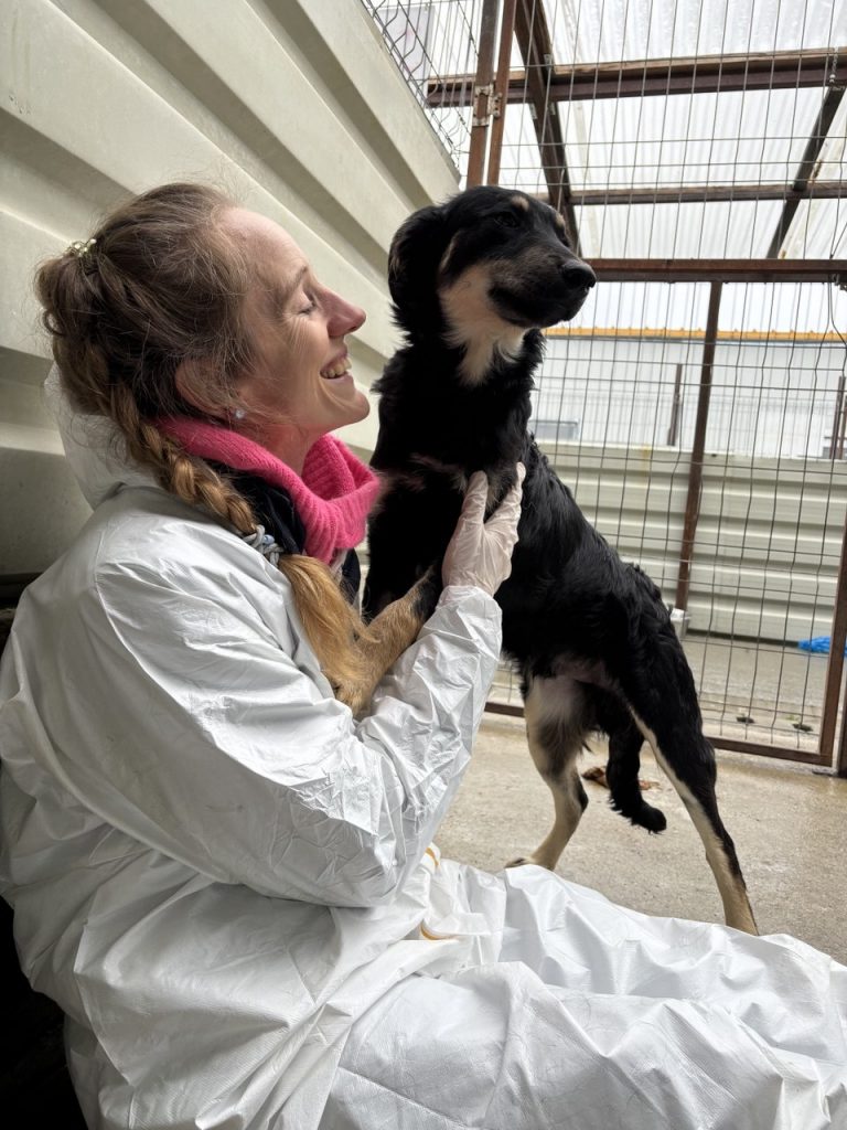 Trotz der Tötungsstation sind so viele Hunde unglaublich zutraulich (hier Nr. 3)
