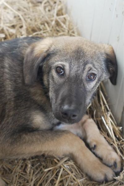 Aang schaut in die Kamera.