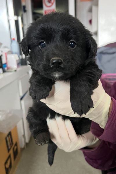 Eloise wird auf dem Arm gehalten.