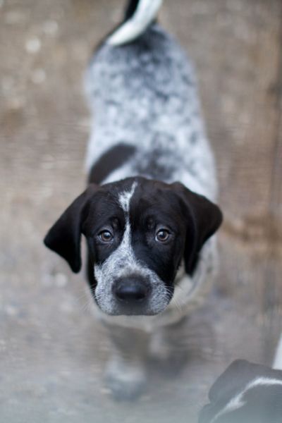 George schaut hoch in die Kamera