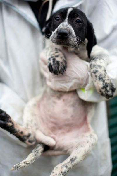 Lexie wird auf dem Arm gehalten und schaut in die Kamera.