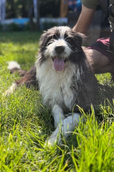 Drax sieht in die Kamera