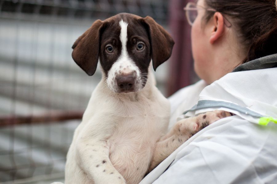 Derek wird auf den Armen einer Pflegerin gehalten und schaut erwartungsvoll in die Kamera