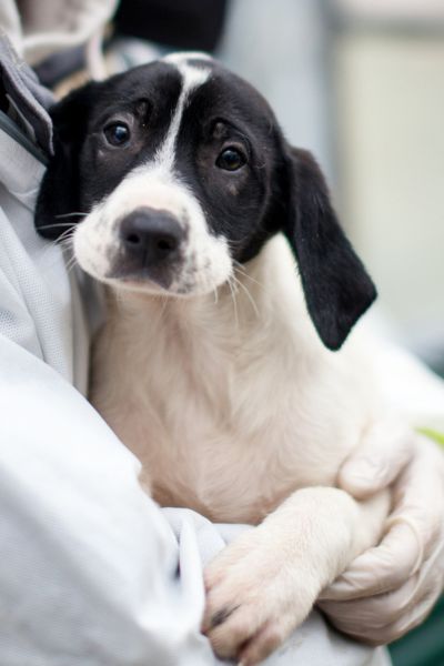 Meredith sitzt in den Armen eines Pflegers und schaut traurig in die Kamera.