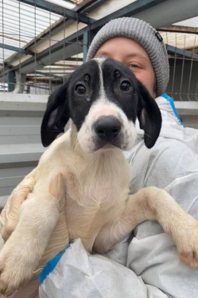 Meredith wird auf dem Arm gehalten und schaut in die Kamera.