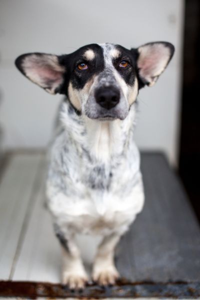 Padme schaut in die Kamera.