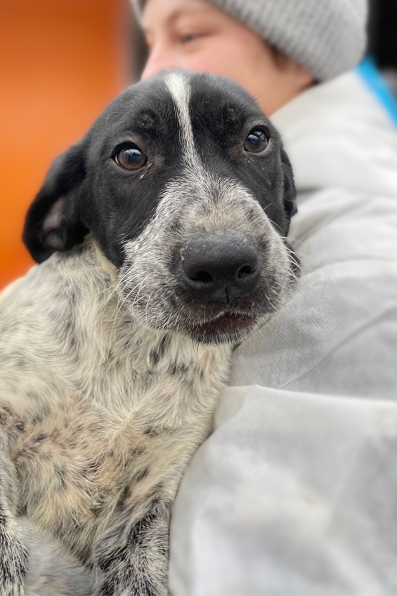 Lexie wird auf dem Arm gehalten und schaut in die Kamera.