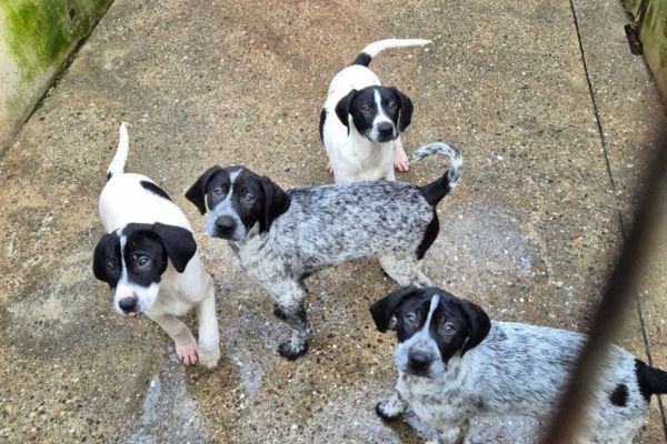 Meredith und ihre Geschwister schauen in die Kamera.