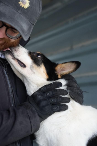 Flash leckt dem Betreuer ins Gesicht