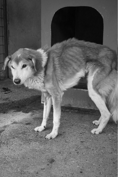 Nr. 4 heißt nun Memory