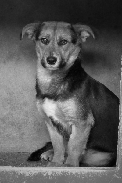 Nr. 7 heißt nun Angel