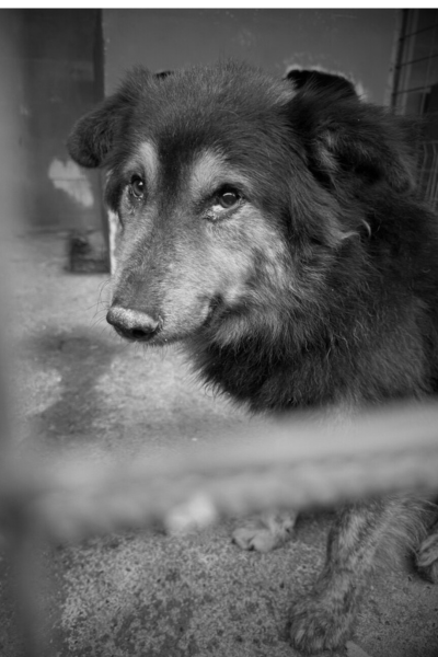 Nr. 18 heißt nun Heaven