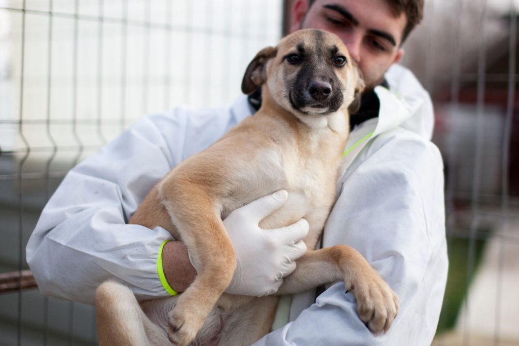 Die junge Azula wird im Arm gehalten und schaut in die Kamera.