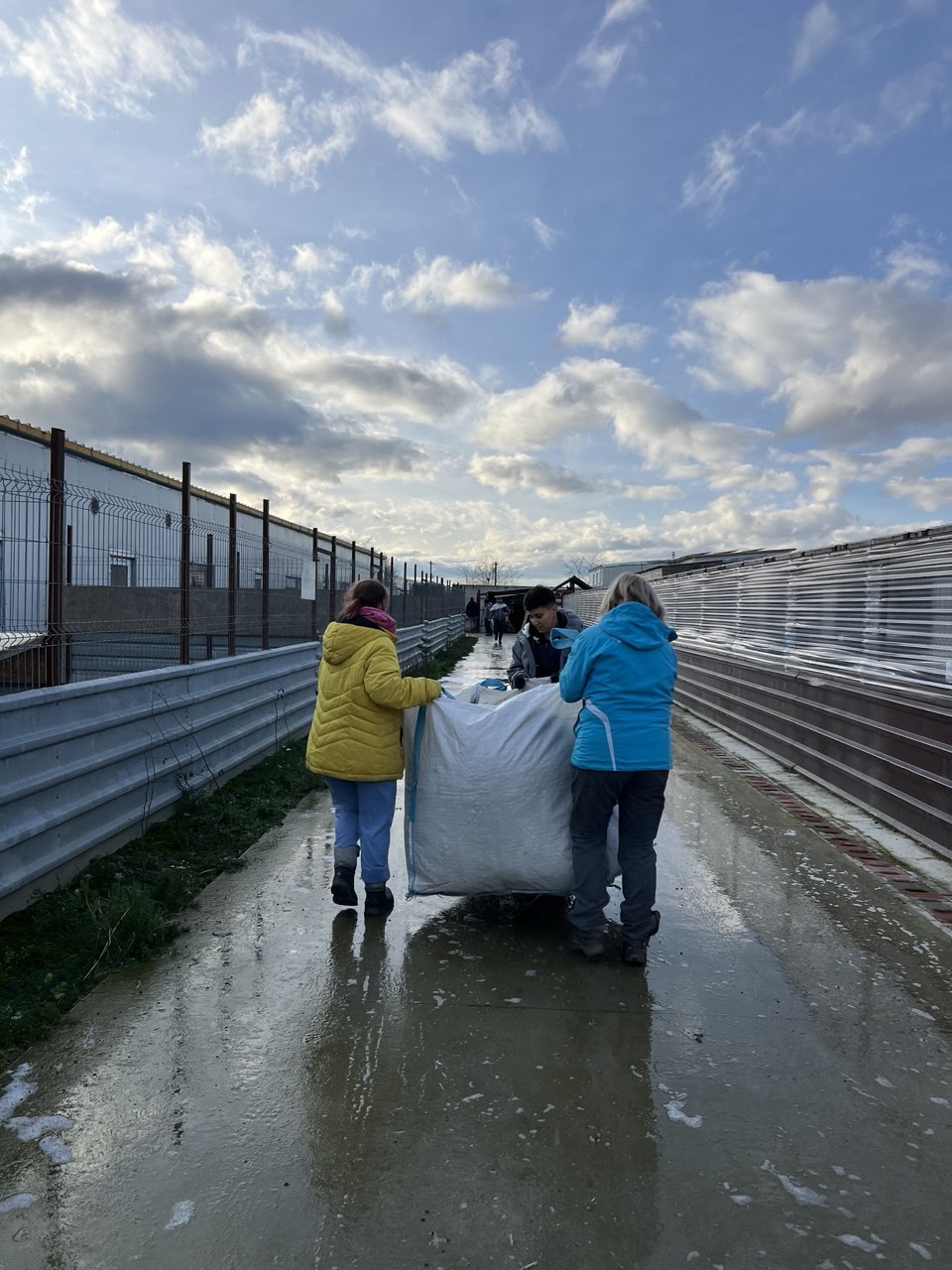 Vorbereitungen für die Quarantäne-Zwinger