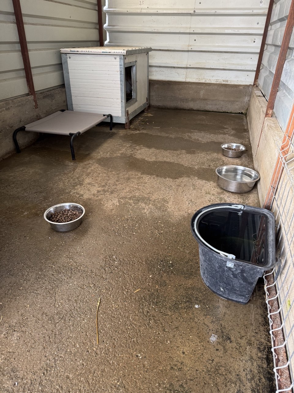 Saubere Zwinger im Tierheim mit Futter, Wasser und Hütten