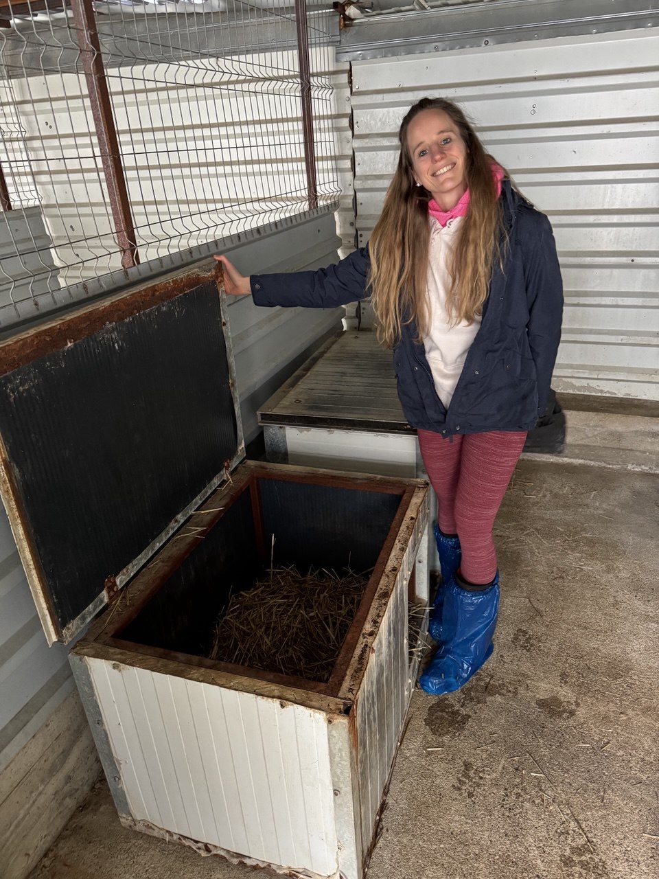 Madeleine bereitet Hütten mit Stroh für die Hunde vor