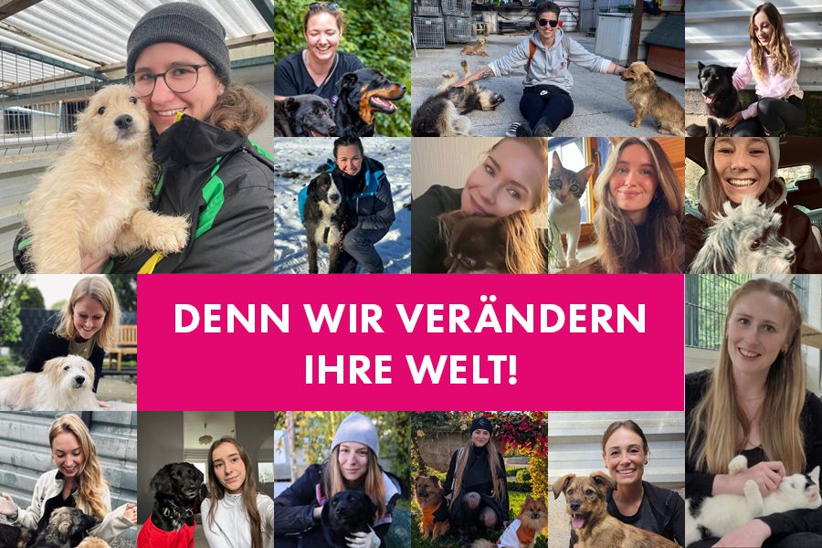 tag-des-ehrenamts-2025-team-hunderettung-europa6