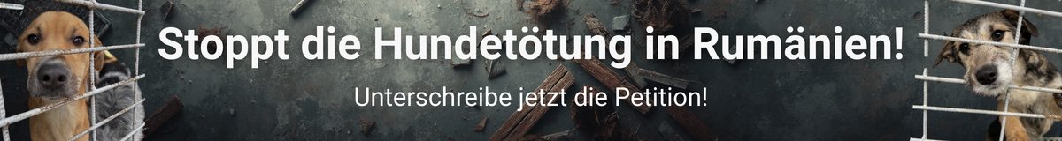 Banner mit Überschrift Stoppt die Hunde-Tötung in Rumänien.