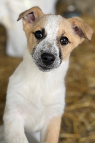 Samantha schaut in die Kamera