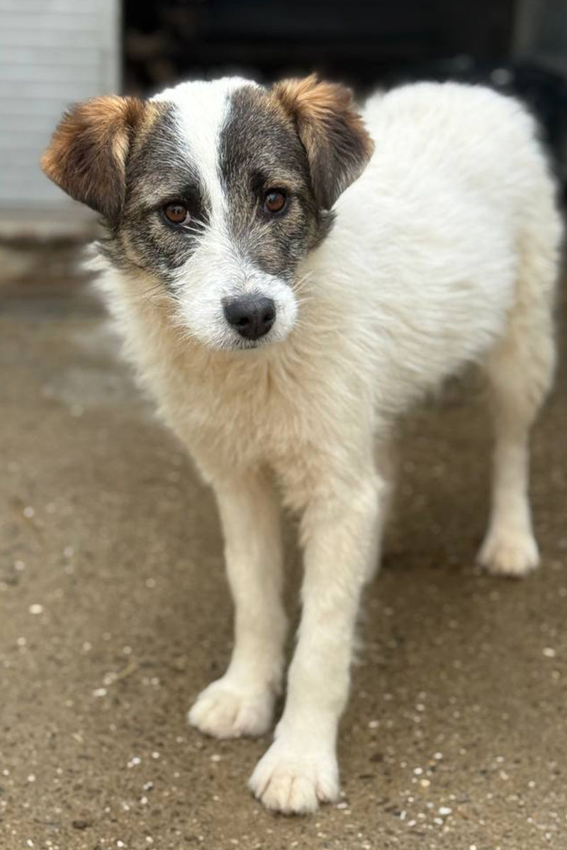 Dela schaut in die Kamera