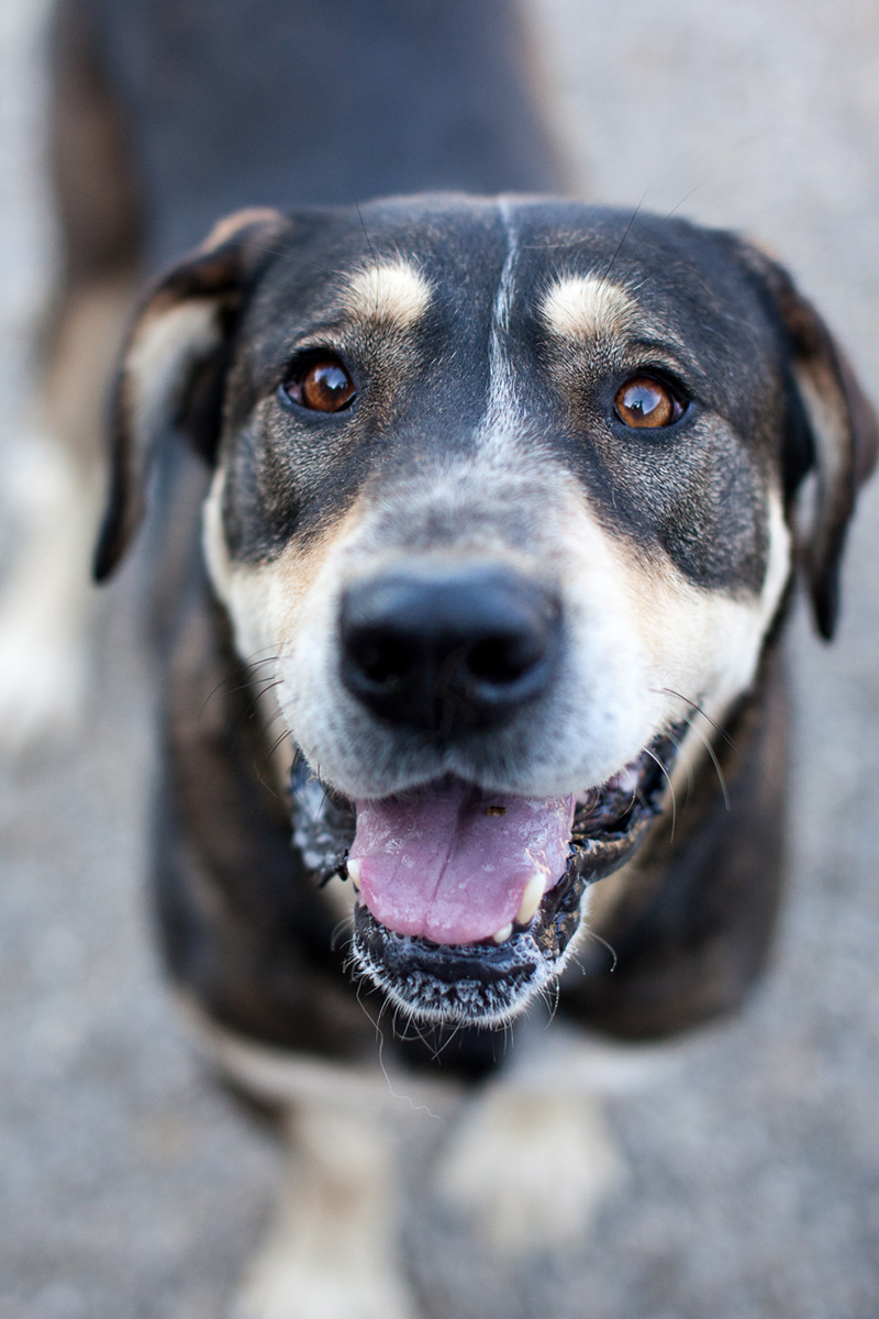 Akasha schaut freundlich in die Kamera