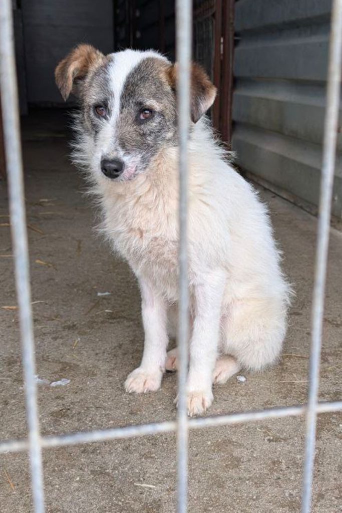 Dela schaut in die Kamera