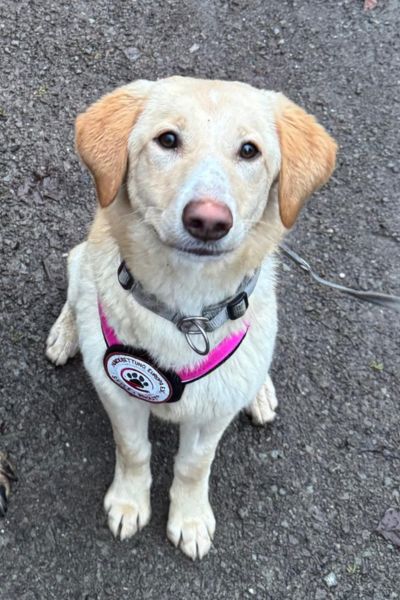 Miri sitzt und schaut interessiert in die Kamera.