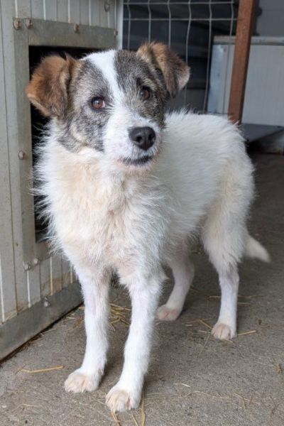 Dela schaut in die Kamera