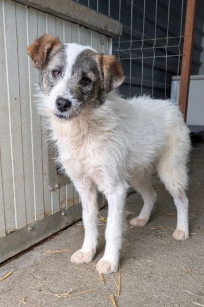 Dela schaut in die Kamera