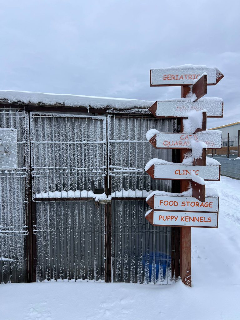 Die Wege im Tierheim