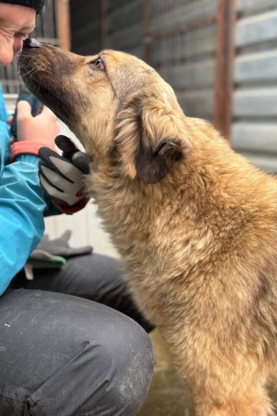 Elira verteilt Küsschen