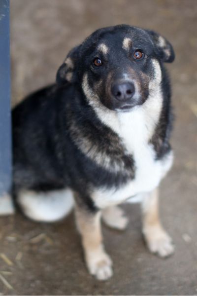 Noria schaut von unten in die Kamera