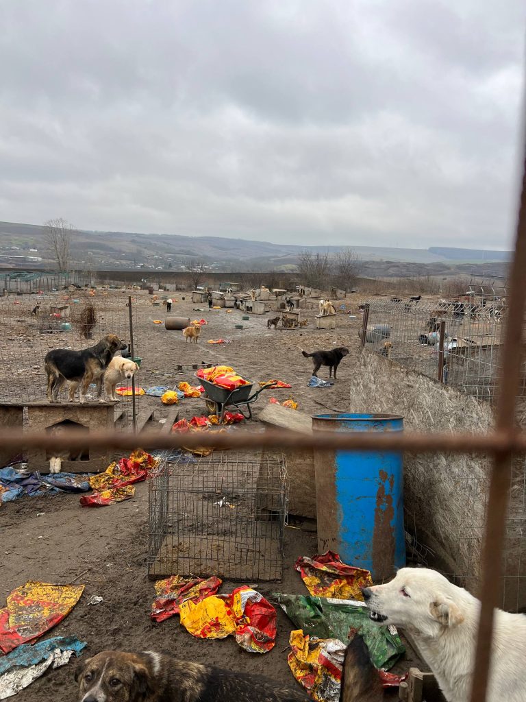 Das Bild, das sich bei unserer Ankunft bietet