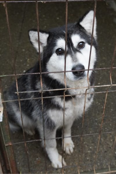 Lilith schaut herzzereißend nach draußen