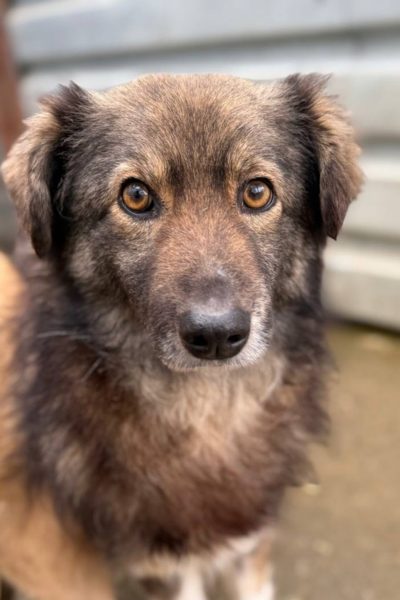 Nikos schaut in die Kamera