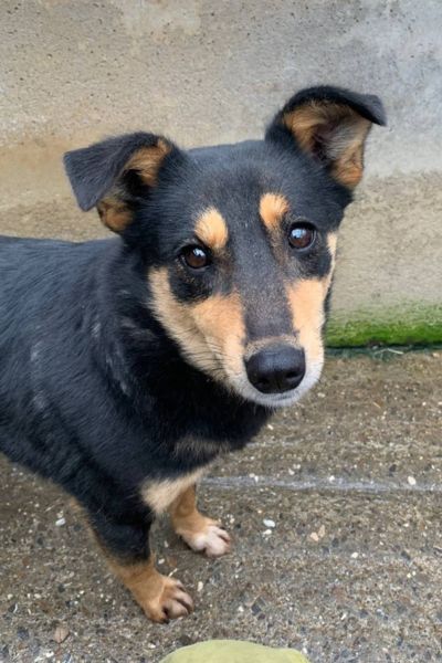 Kara steht und schaut neugierig in die Kamera.