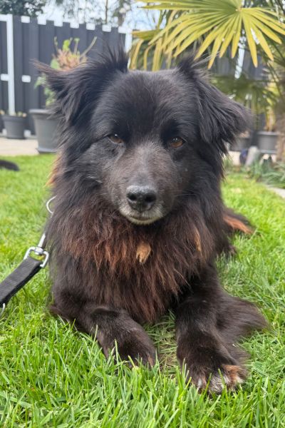 Mori schaut neugierig in die Kamera.