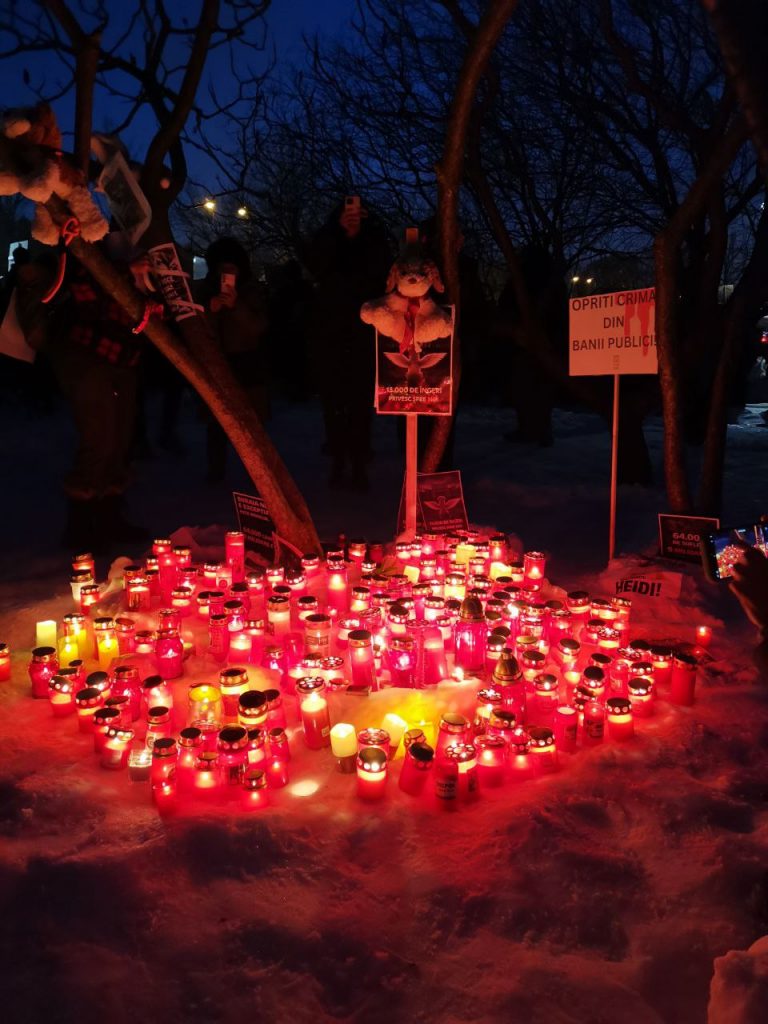 ...allein 15.000 Hunde sollen in einer Station innerhalb von zwei Jahren getötet worden sein