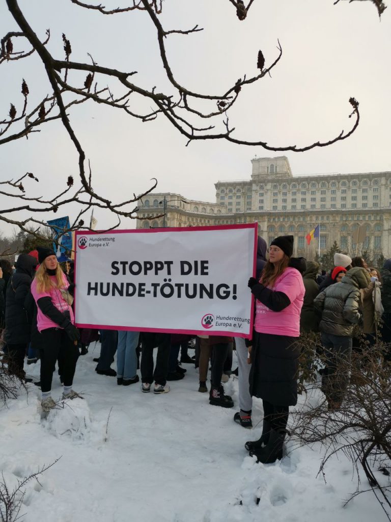 Wir sind Laut für die ohne Stimme!